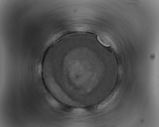 X0000103140397200808291344