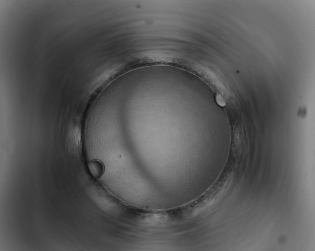 X0000103140398200808291344