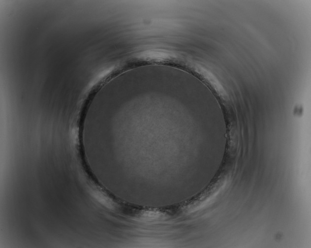 X0000103140399200808291344