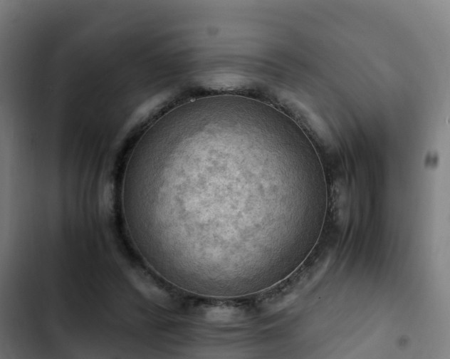 X0000103140400200808291344