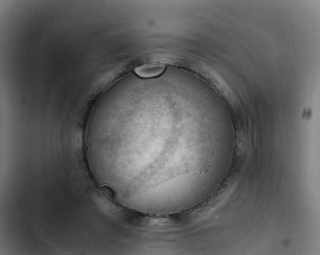 X0000103140401200808291344