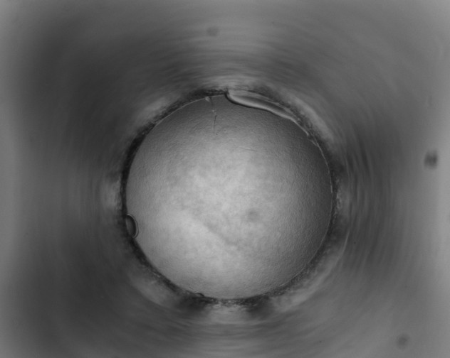 X0000103140403200808291344