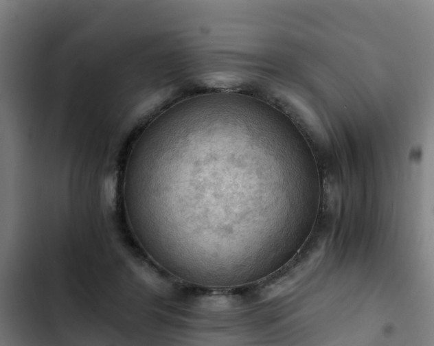 X0000103140404200808291344