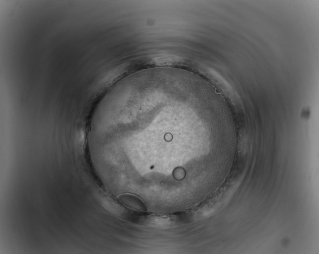 X0000103140405200808291344