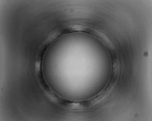 X0000103140406200808291344