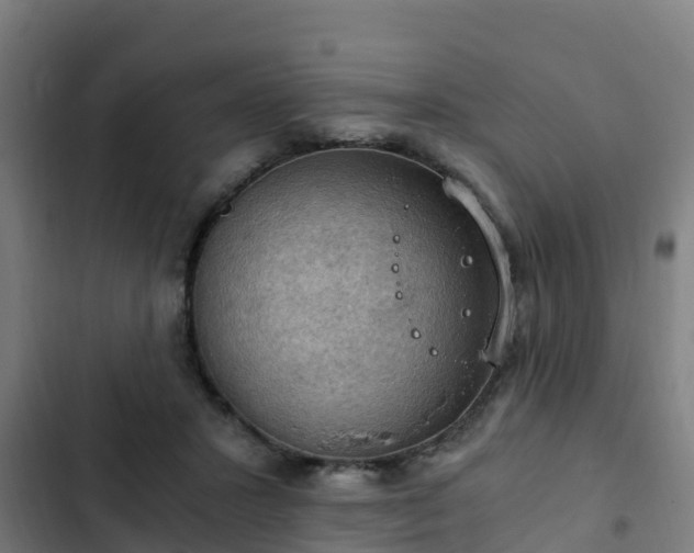 X0000103140407200808291344