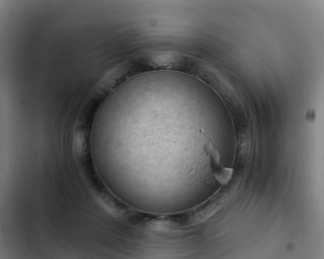 X0000103140408200808291344