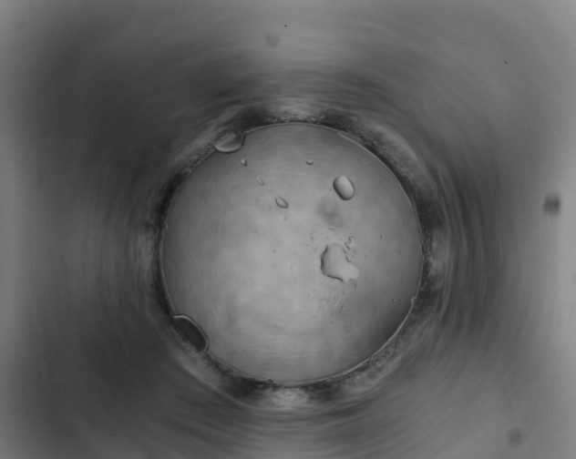 X0000103140409200808291344