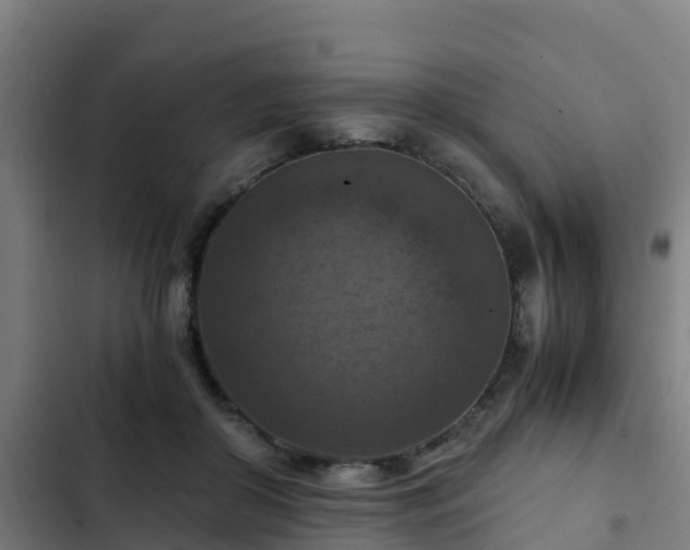 X0000103140410200808291344