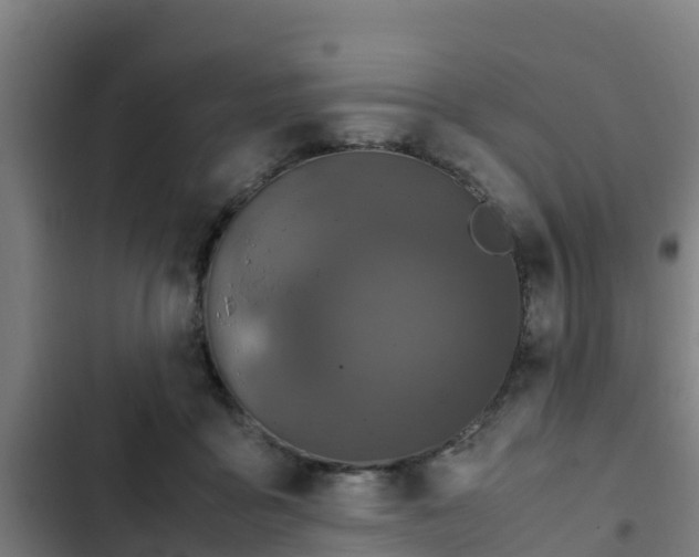 X0000103140411200808291344