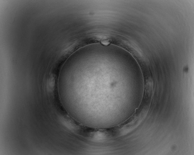 X0000103140412200808291344