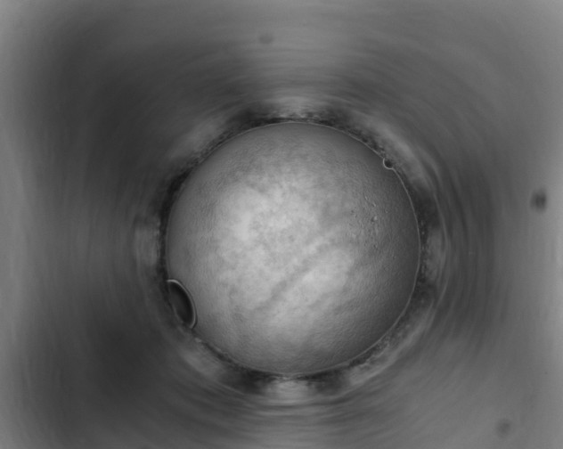 X0000103140413200808291344