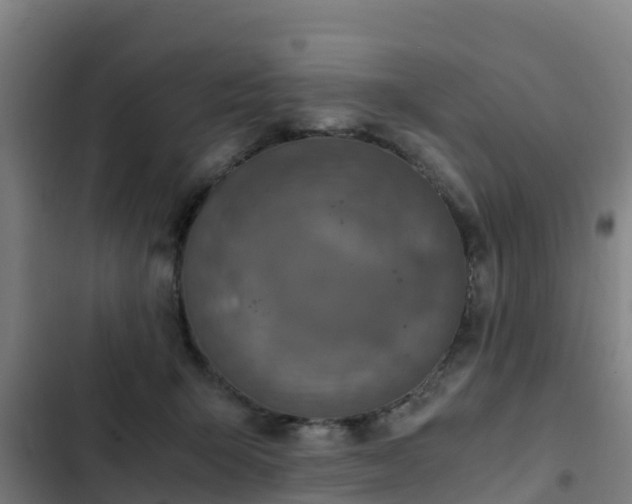 X0000103140415200808291344