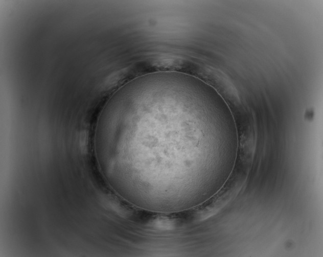 X0000103140416200808291344