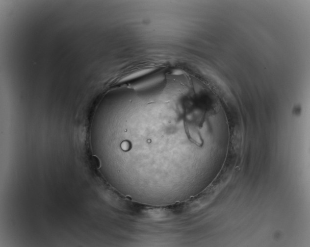 X0000103140417200808291344