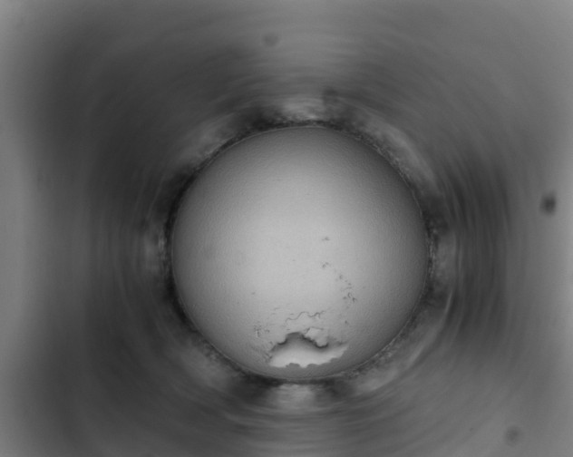 X0000103140418200808291344