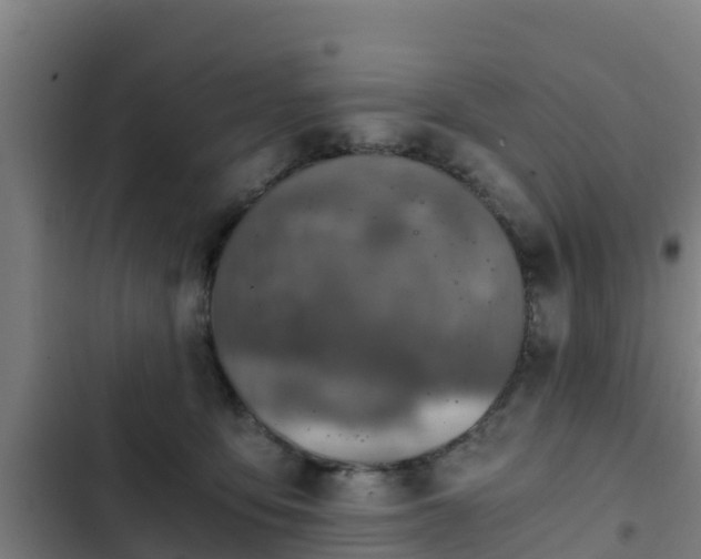 X0000103140419200808291344