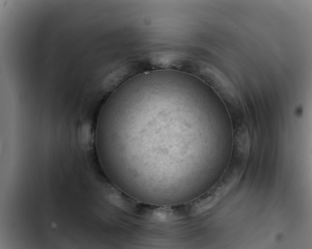 X0000103140420200808291343