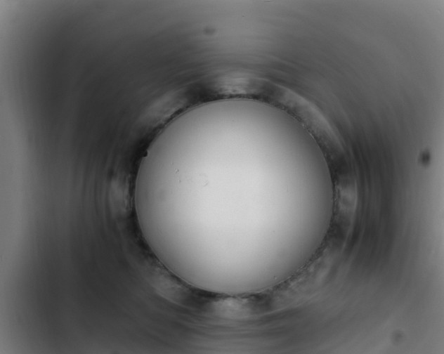 X0000103140422200808291343