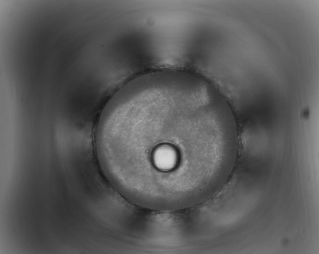 X0000103140423200808291343