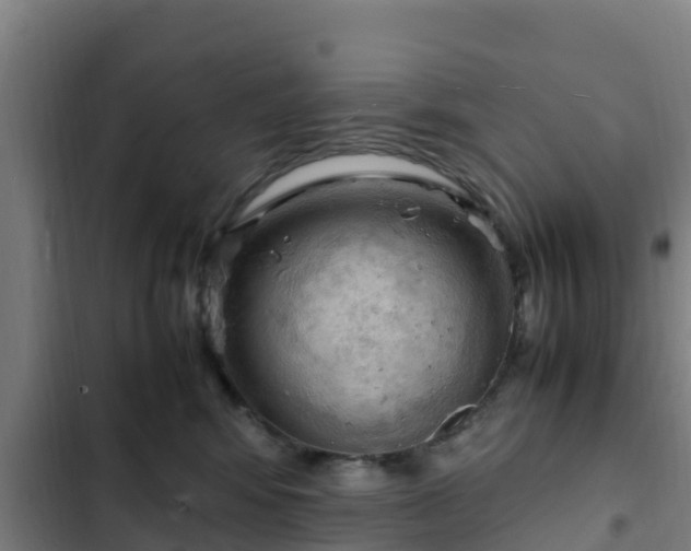 X0000103140424200808291343