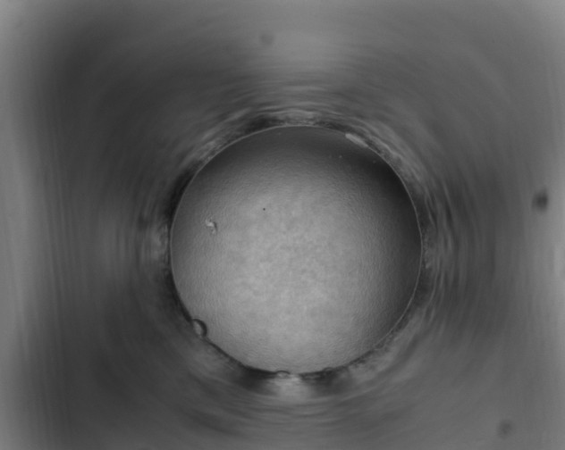 X0000103140425200808291343