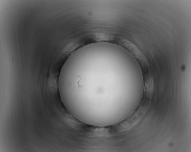 X0000103140426200808291343