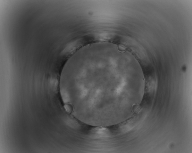 X0000103140427200808291343