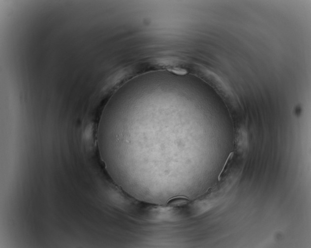 X0000103140428200808291343