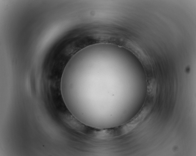 X0000103140430200808291343