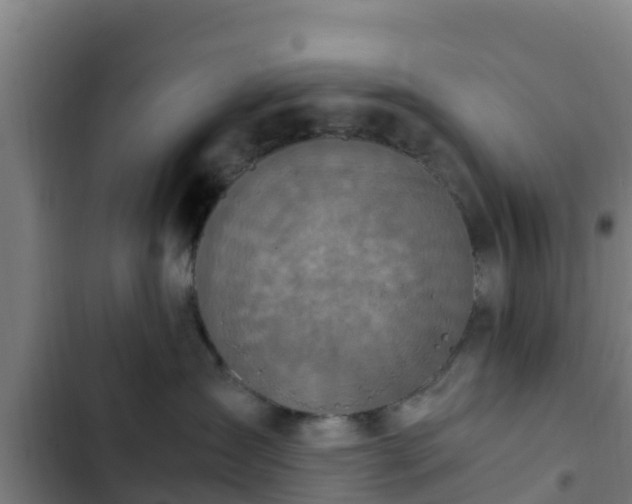 X0000103140431200808291343