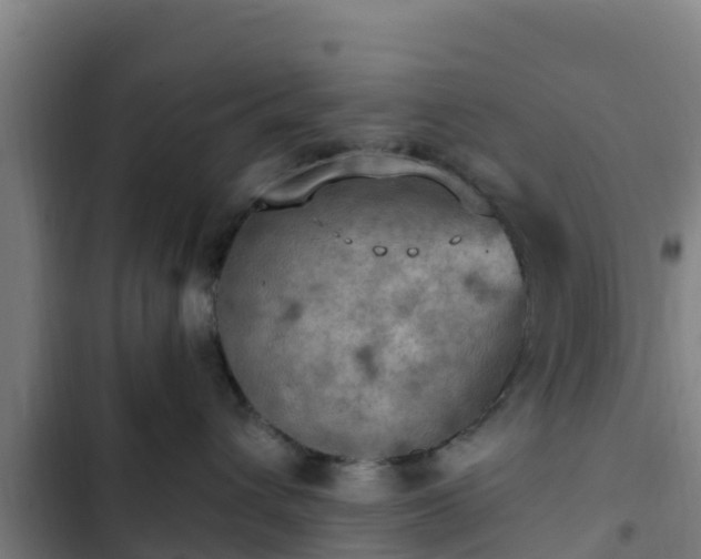 X0000103140432200808291343