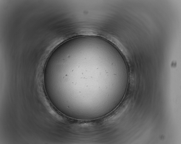 X0000103140433200808291342