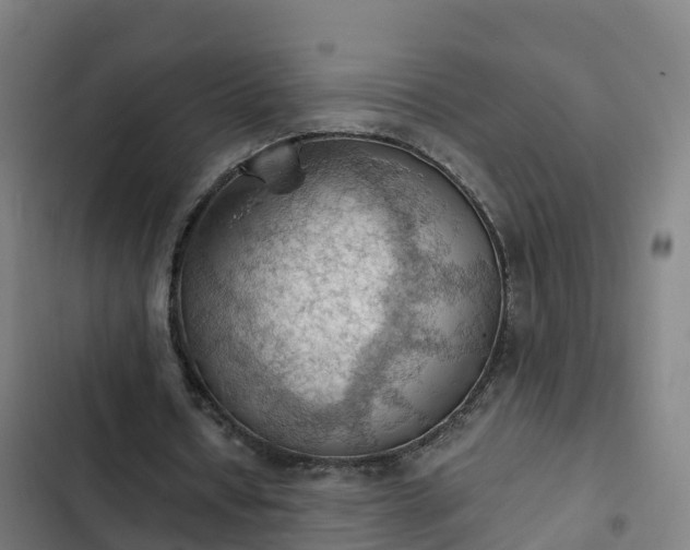 X0000103140434200808291342