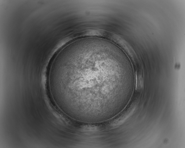 X0000103140435200808291342