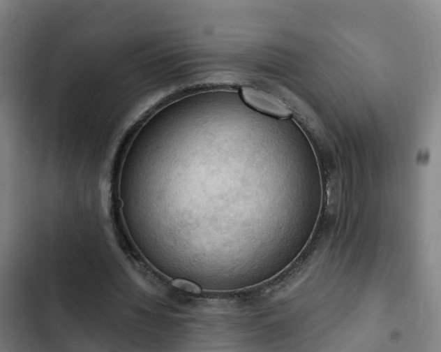 X0000103140436200808291342