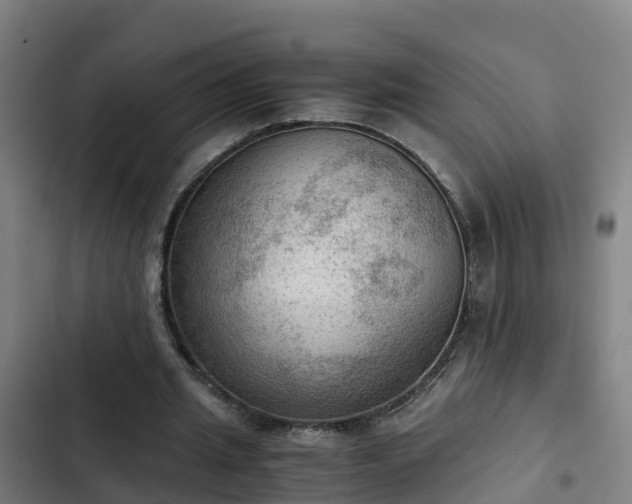 X0000103140437200808291342