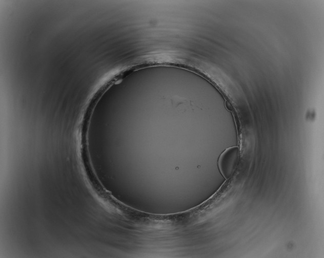 X0000103140438200808291343