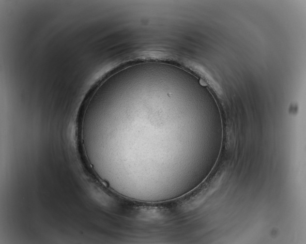 X0000103140439200808291343