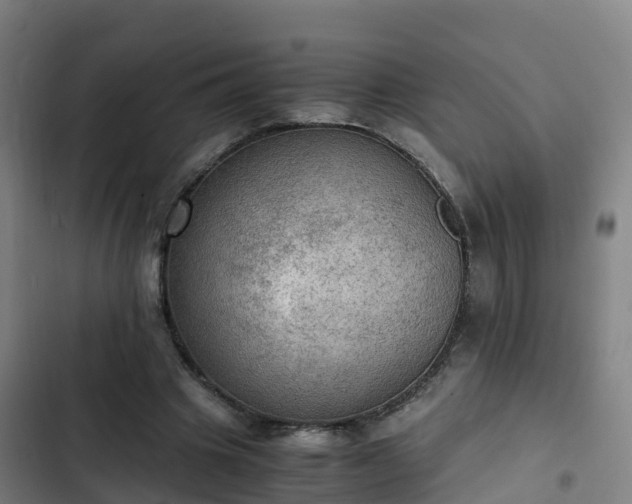 X0000103140441200808291343