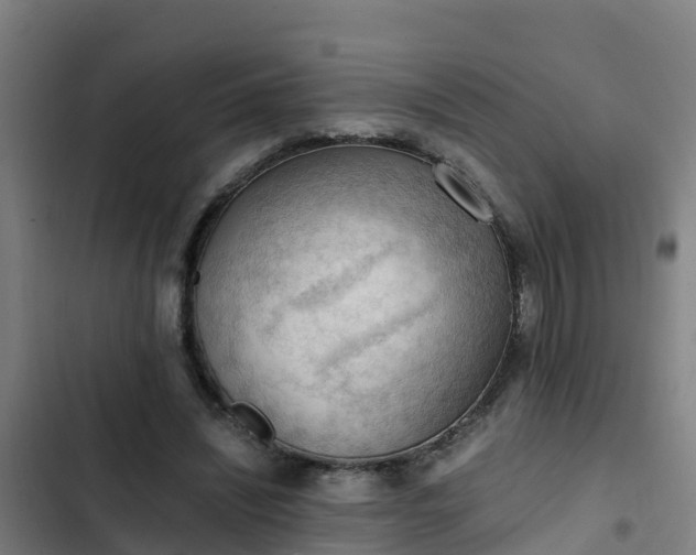 X0000103140444200808291343