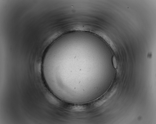 X0000103140445200808291343