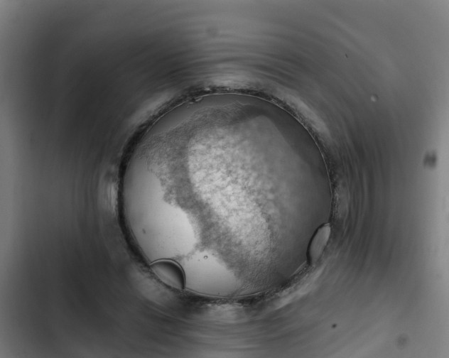 X0000103140446200808291343