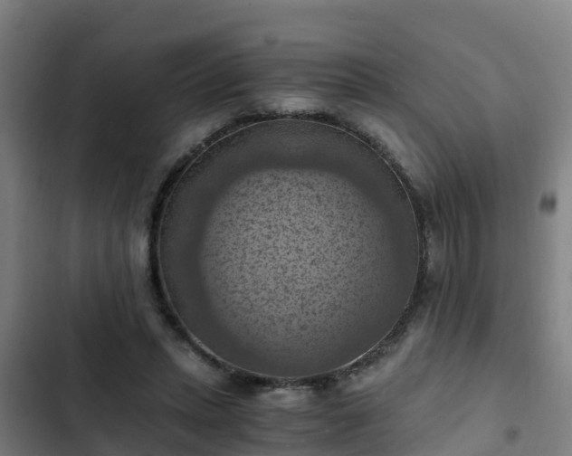 X0000103140447200808291343