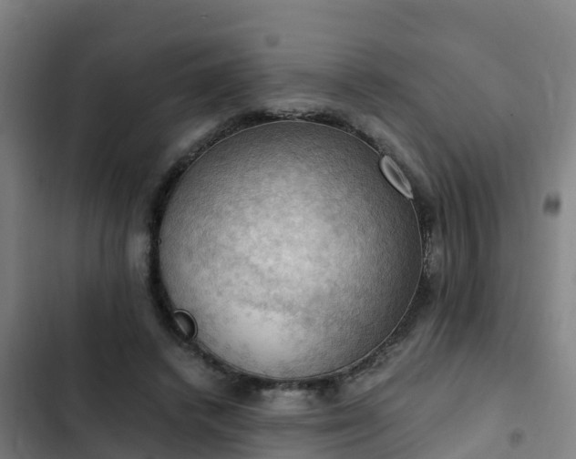 X0000103140448200808291343