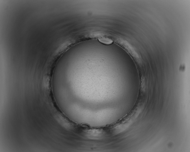 X0000103140449200808291343