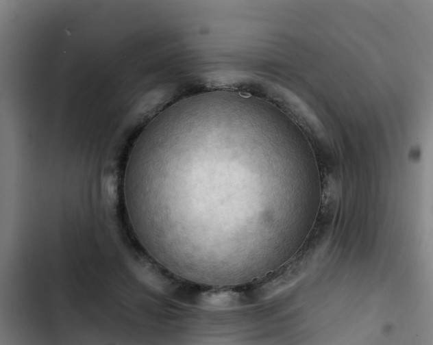 X0000103140452200808291343