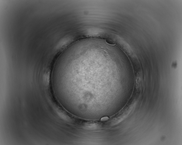 X0000103140454200808291343