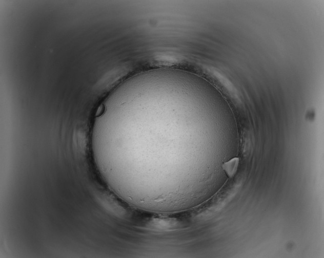 X0000103140455200808291343