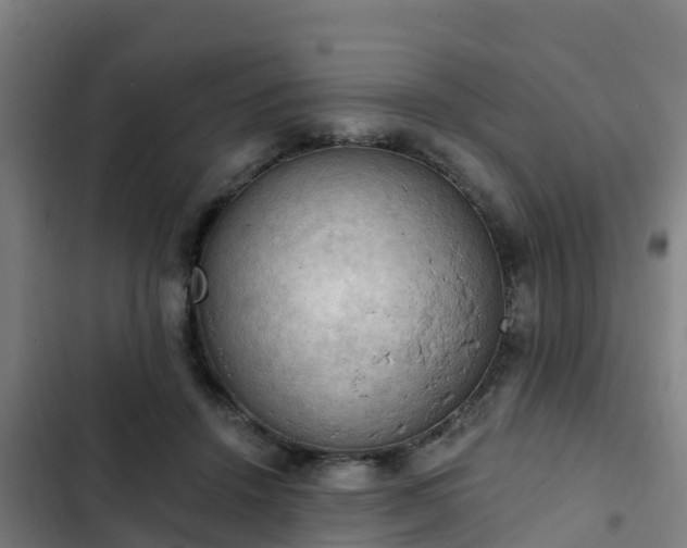 X0000103140456200808291343